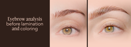 Eyebrow analysis before lamination and coloring