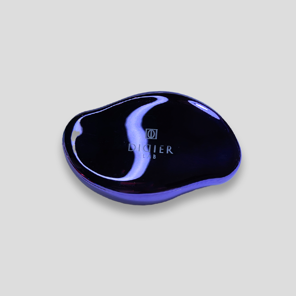 NANO GLASS FOOT FILE DIDIER LAB - PURPLE