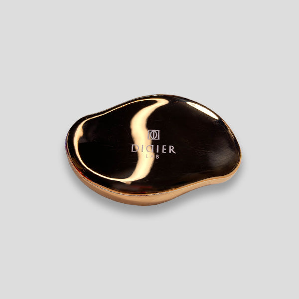 NANO GLASS FOOT FILE DIDIER LAB - GOLD
