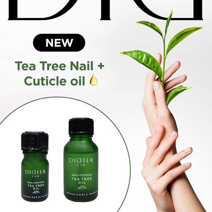 Nail and Cuticle Oil Didier Lab, Tea Tree, 15 ml